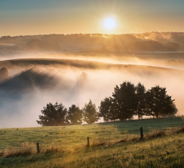 Głębia naturalności
