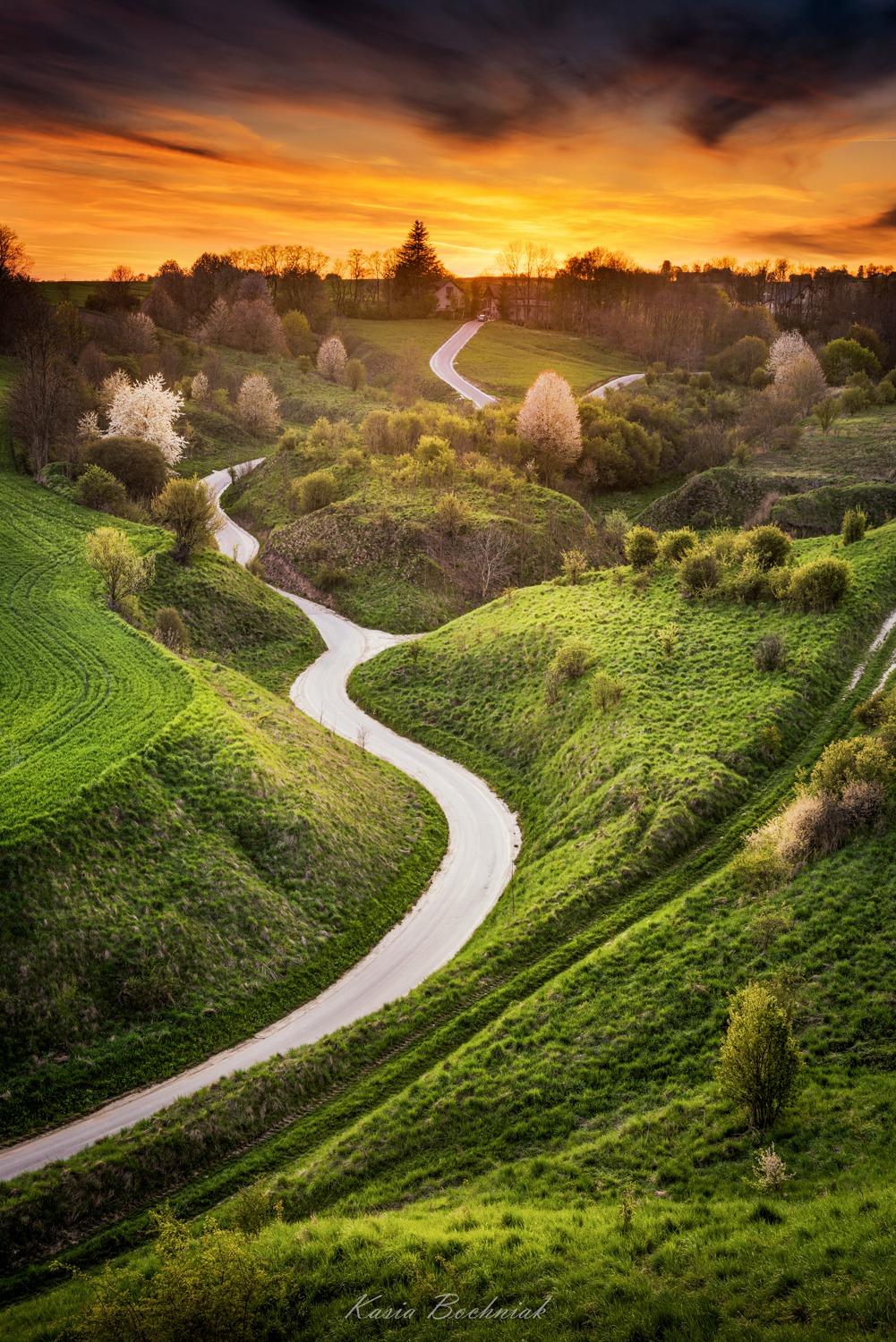 Krajobraz — Głębia naturalności, 14 z 49