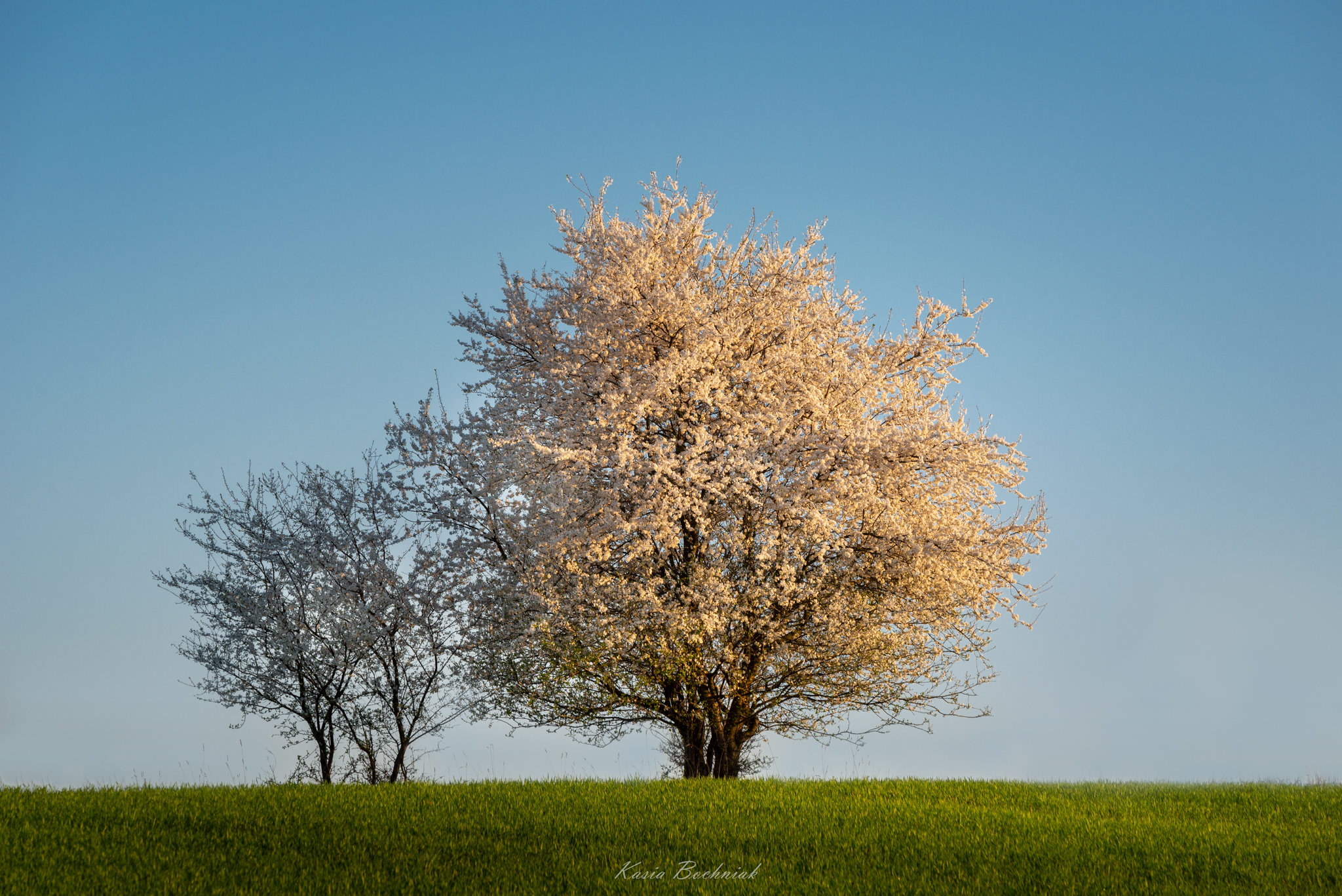 Krajobraz — Głębia naturalności, 26 z 49