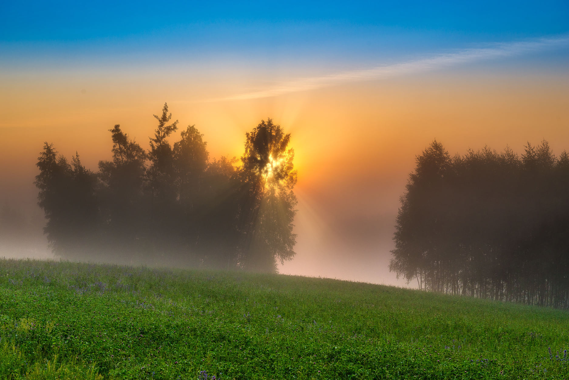 Krajobraz — Głębia światła wewnętrznego, 56 z 57