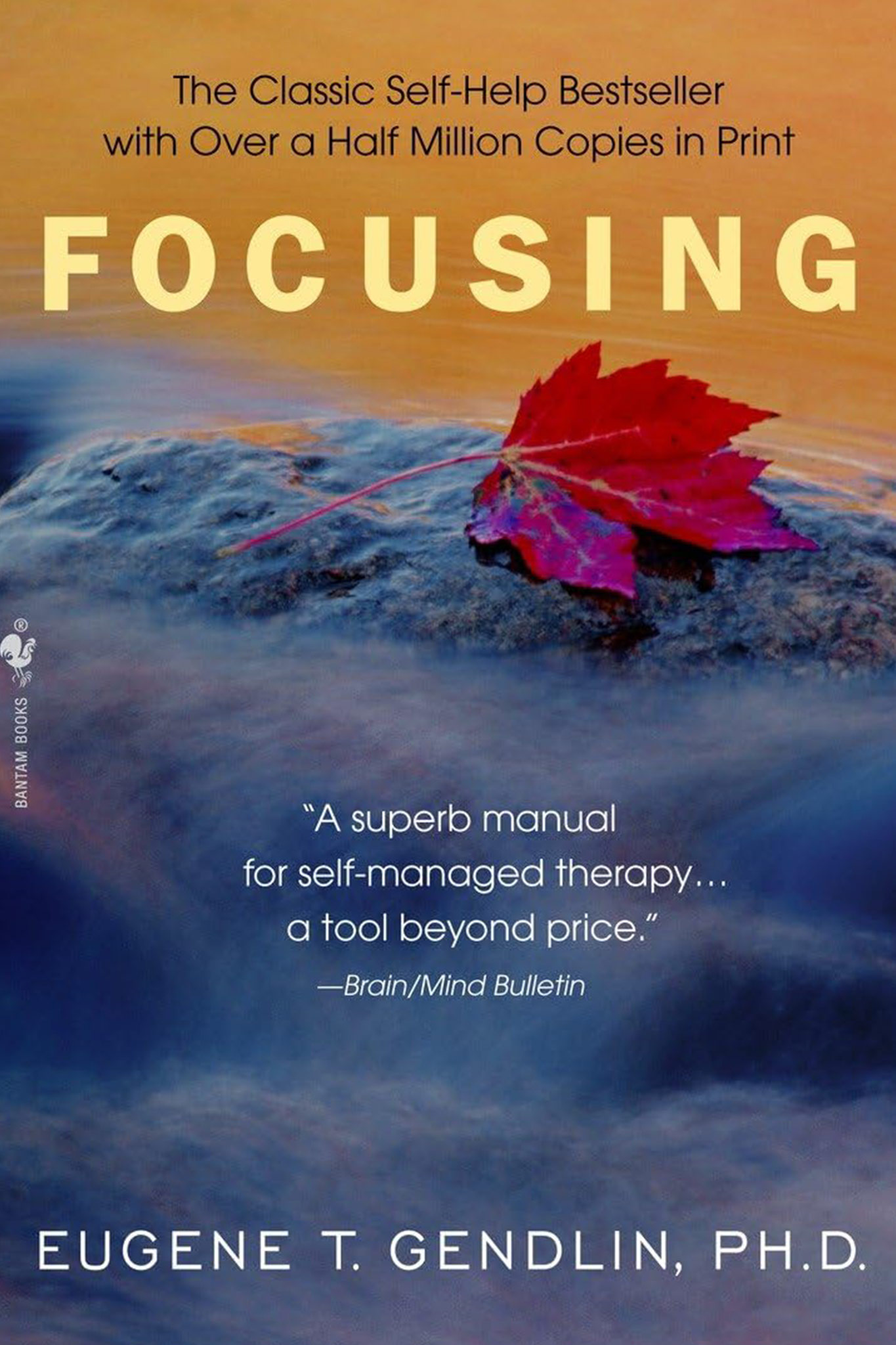 Focusing