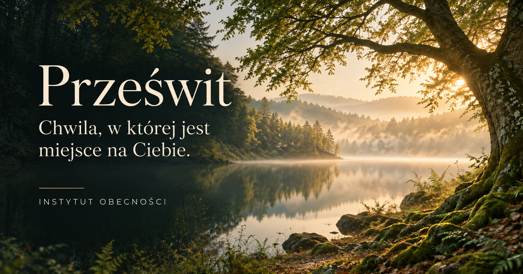 Prześwit. Chwila, w której jest miejsce na Ciebie. Światło w lesie nad wodą.
